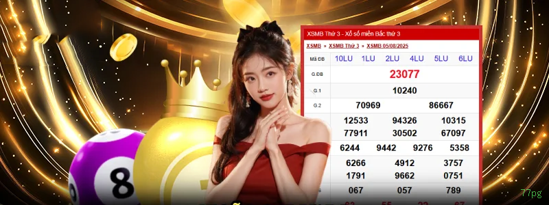 Apostas Esportivas 77pg